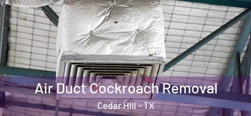 Air Duct Cockroach Removal Cedar Hill - TX