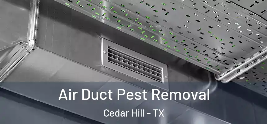 Air Duct Pest Removal Cedar Hill - TX