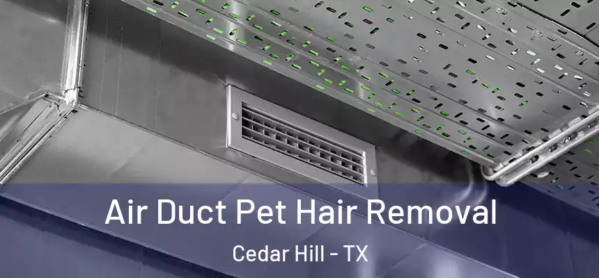 Air Duct Pet Hair Removal Cedar Hill - TX