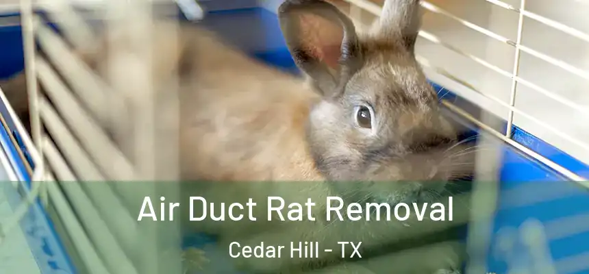  Air Duct Rat Removal Cedar Hill - TX