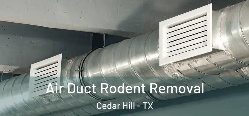  Air Duct Rodent Removal Cedar Hill - TX