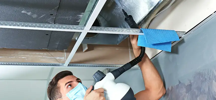 Our Air Duct Rodent Removal Services in Cedar Hill, TX