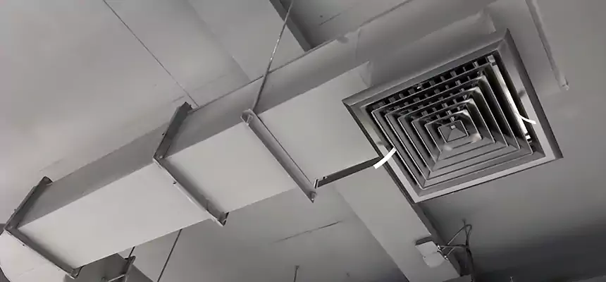 Our Pest Removal From Ducts Services in Cedar Hill, TX