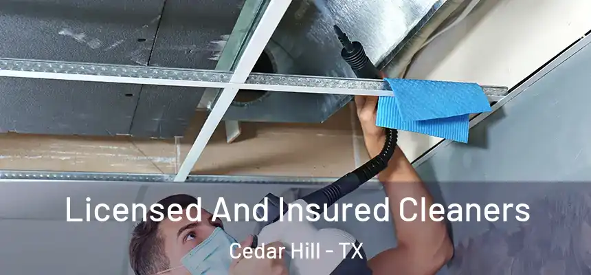  Licensed And Insured Cleaners Cedar Hill - TX
