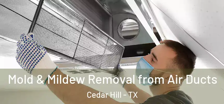  Mold & Mildew Removal from Air Ducts Cedar Hill - TX