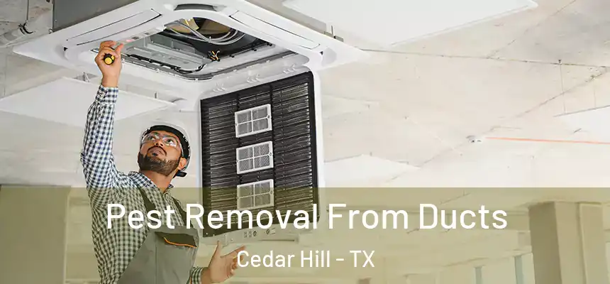 Pest Removal From Ducts Cedar Hill - TX