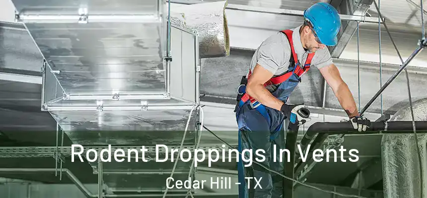  Rodent Droppings In Vents Cedar Hill - TX