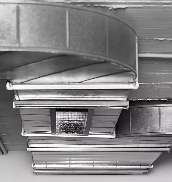 Professional Air Duct Pest Removal in Cedar Hill, TX