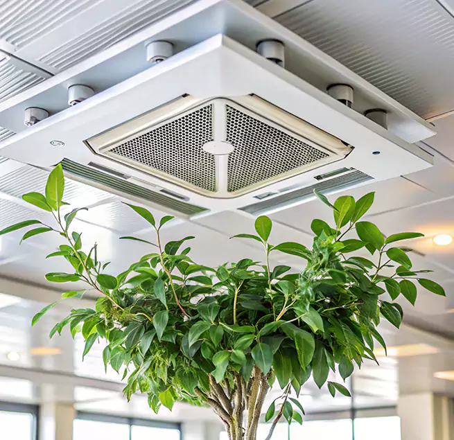 Why Homeowners & Businesses Trust Us in Cedar Hill, TX?