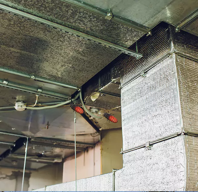 Why Homeowners & Businesses Trust Us Cedar Hill, TX?