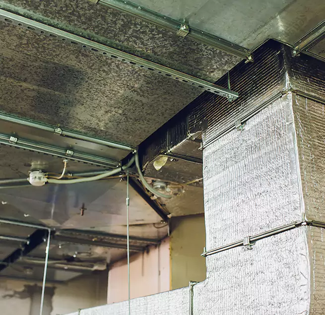 Why Homeowners & Businesses Trust Us in Cedar Hill, TX?