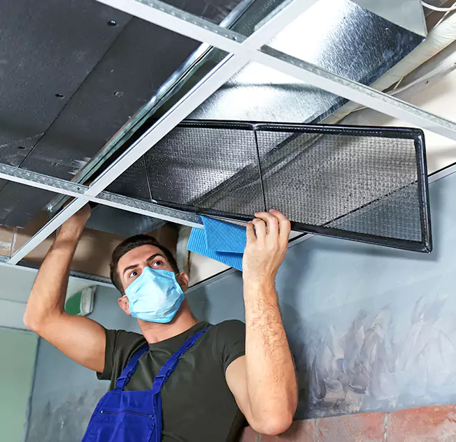 Why Homeowners Businesses Trust Us in Cedar Hill, TX?